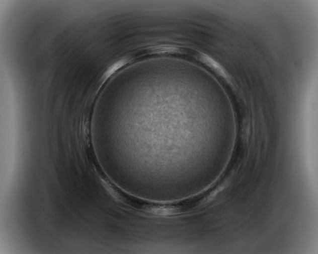 X0000086771321200704201757