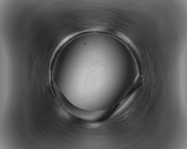 X0000086771324200704201757