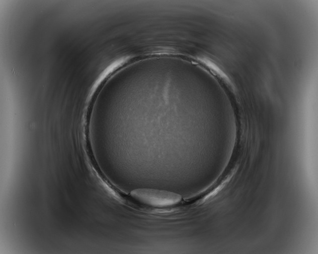 X0000086771325200704201757