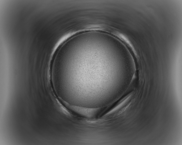 X0000086771328200704201757