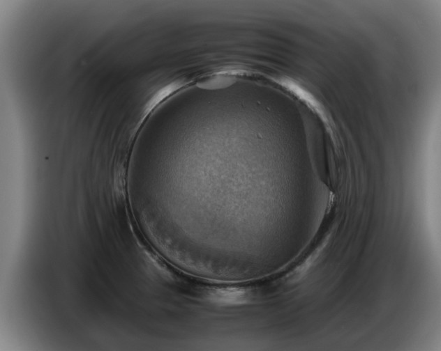 X0000086771329200704201757