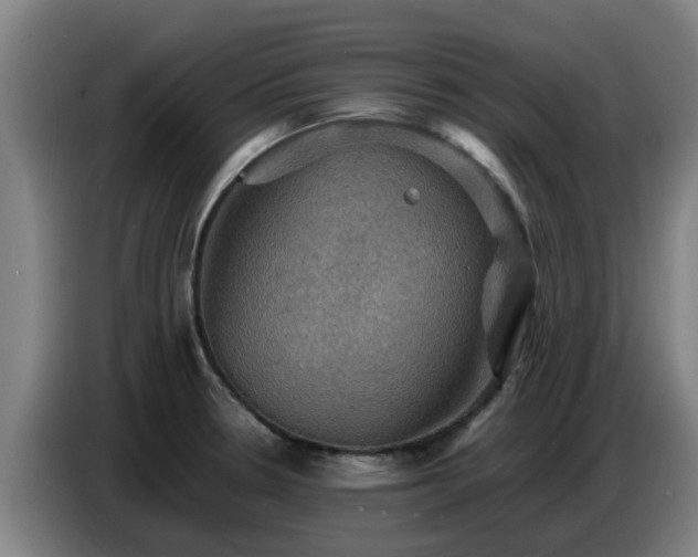 X0000086771330200704201757