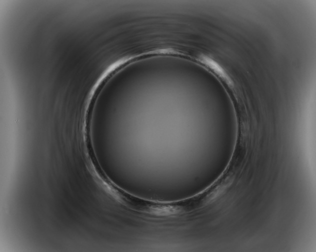 X0000086771331200704201757
