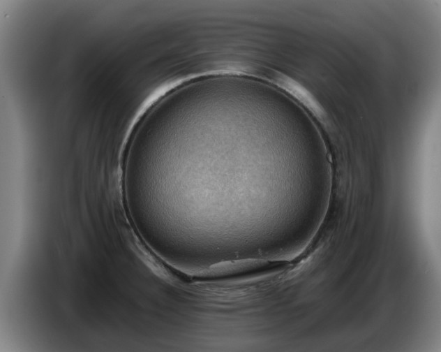 X0000086771332200704201757