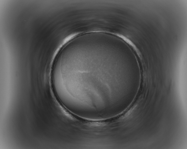 X0000086771333200704201757