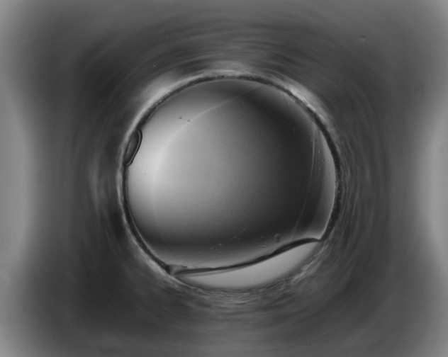 X0000086771334200704201757