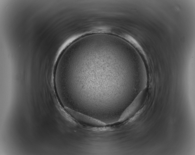 X0000086771336200704201757