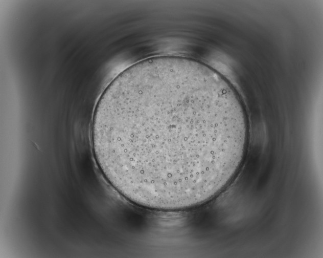 X0000086771338200704201757