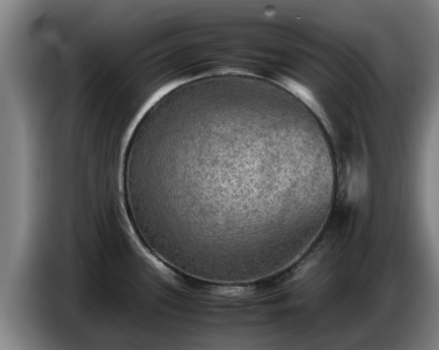 X0000086771339200704201757