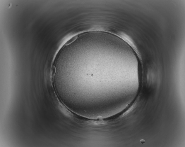 X0000086771340200704201757
