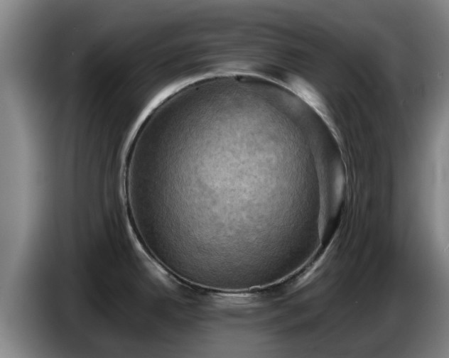 X0000086771342200704201757