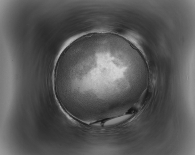 X0000086771343200704201757