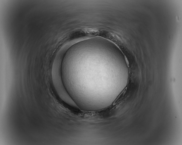 X0000086771345200704201756