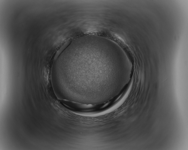 X0000086771348200704201756