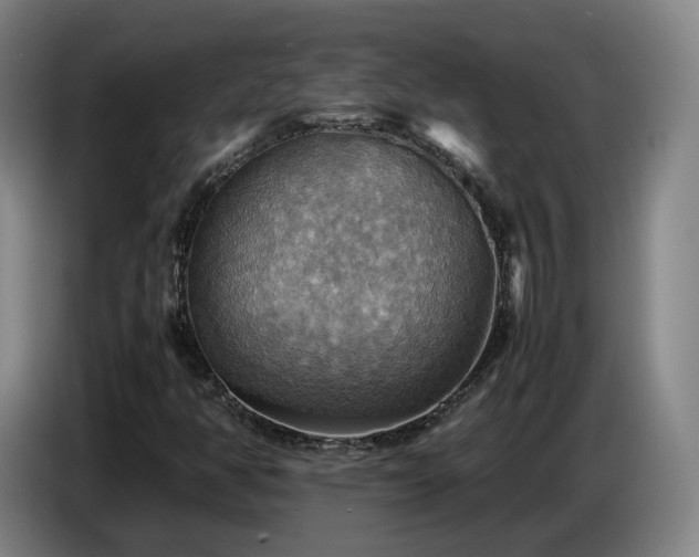 X0000086771350200704201756