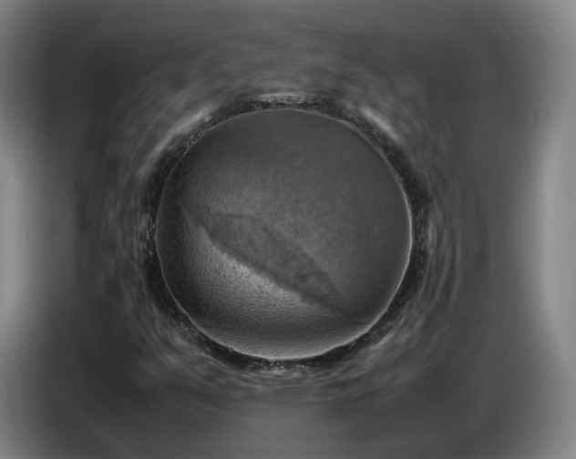 X0000086771351200704201756