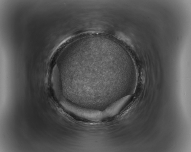 X0000086771352200704201756