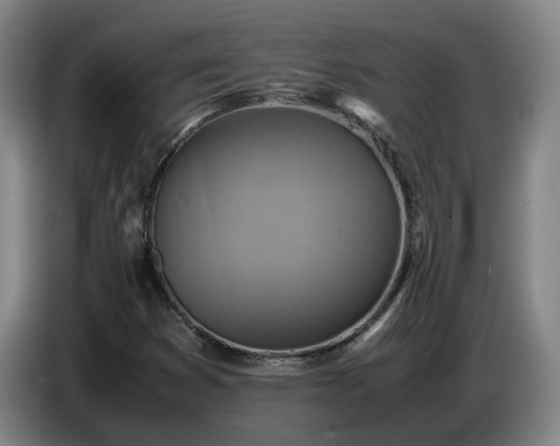 X0000086771353200704201756