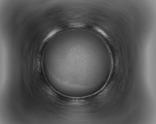 X0000086771354200704201756