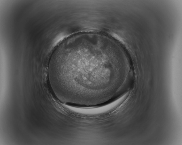 X0000086771355200704201756
