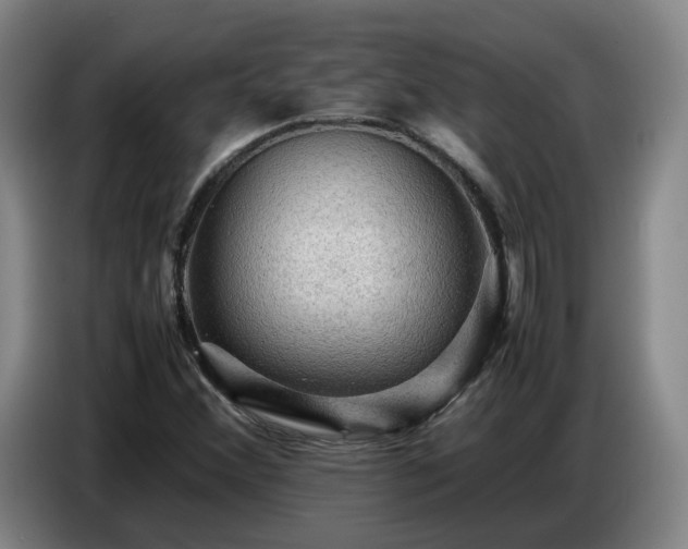 X0000086771356200704201756