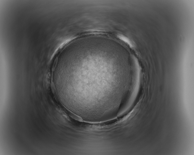 X0000086771357200704201756