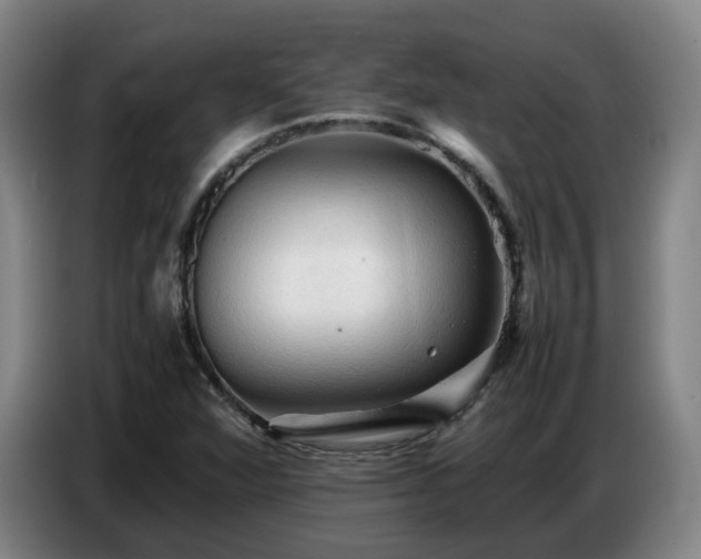 X0000086771360200704201756