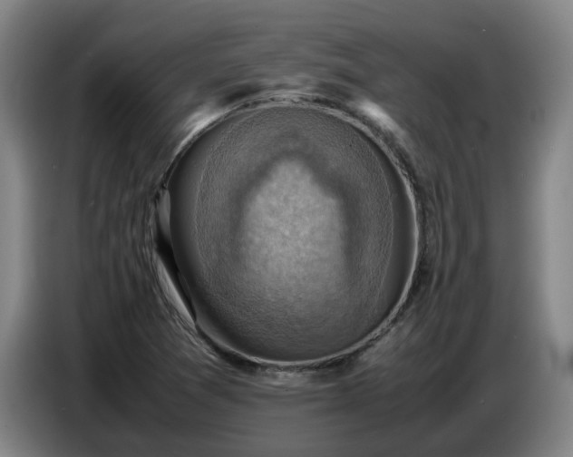 X0000086771361200704201756