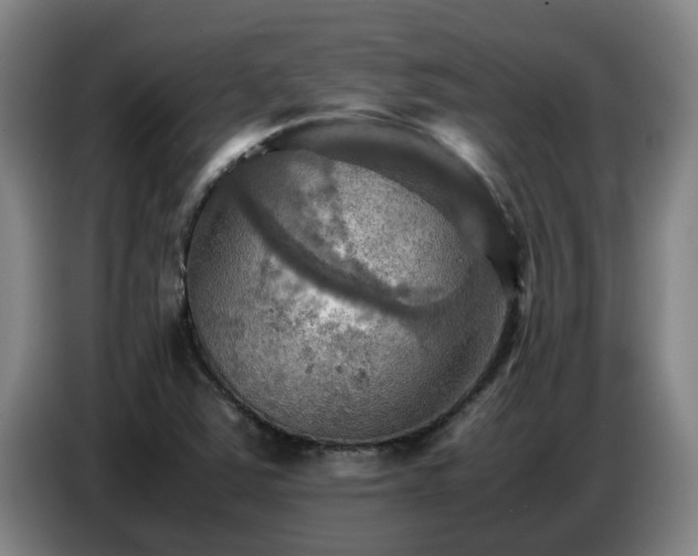 X0000086771363200704201756