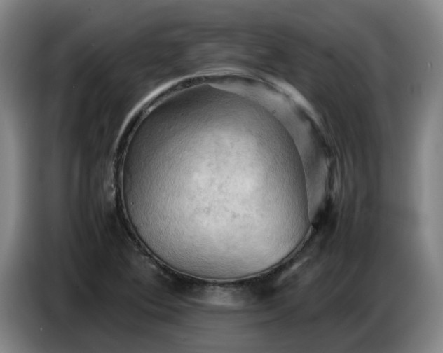 X0000086771364200704201756