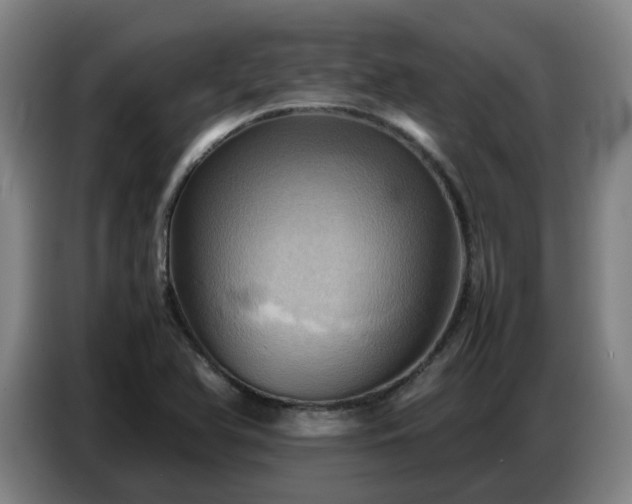 X0000086771366200704201756