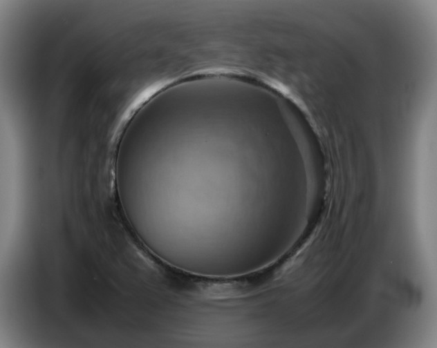 X0000086771367200704201756
