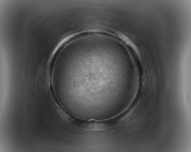 X0000086771368200704201756