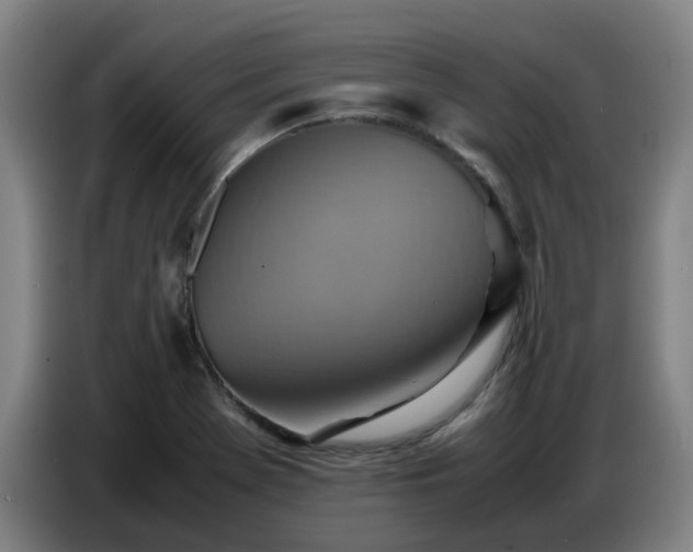 X0000086771369200704201756