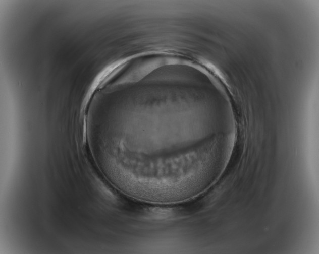 X0000086771371200704201756