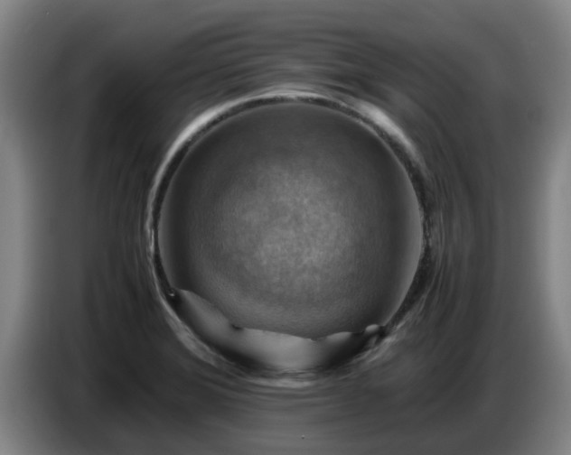 X0000086771372200704201756