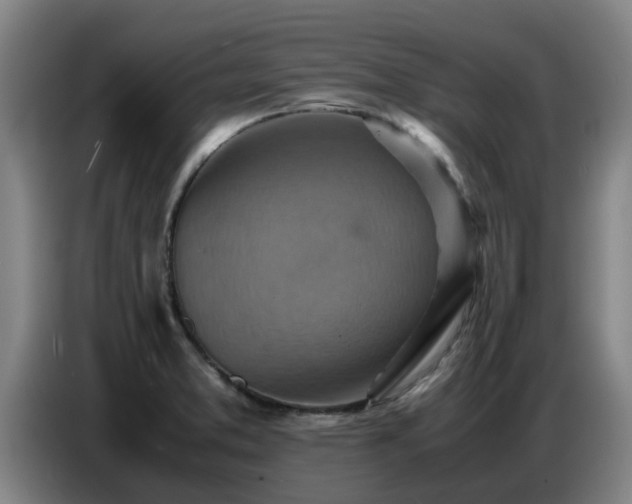X0000086771373200704201756