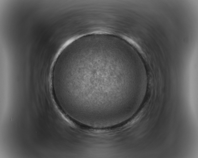 X0000086771375200704201756