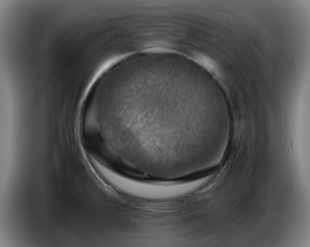 X0000086771376200704201756