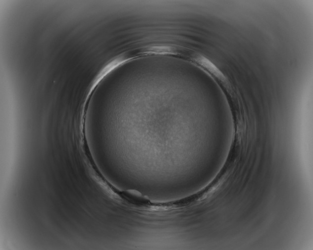 X0000086771378200704201756