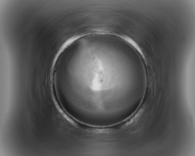 X0000086771381200704201756