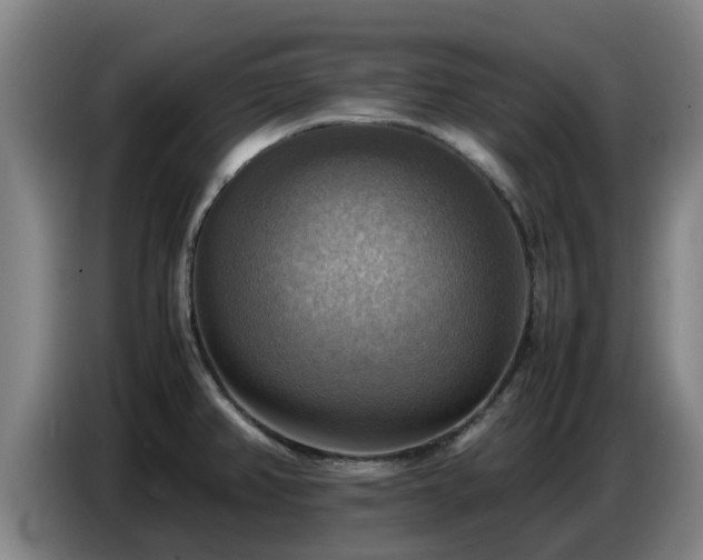 X0000086771382200704201756