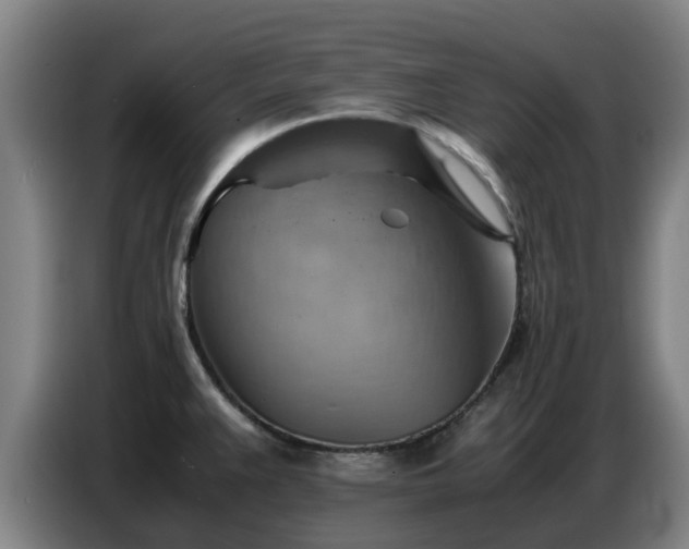 X0000086771383200704201756