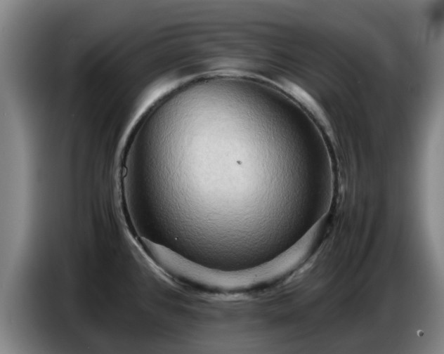 X0000086771384200704201756