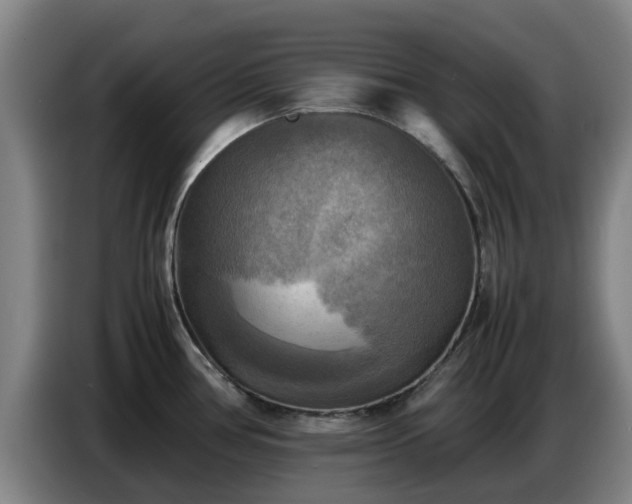 X0000086771386200704201756