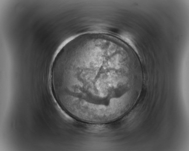 X0000086771387200704201756