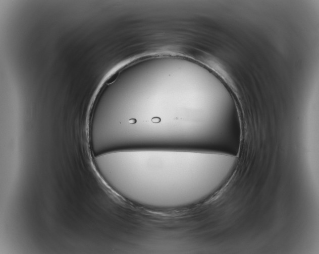 X0000086771388200704201756