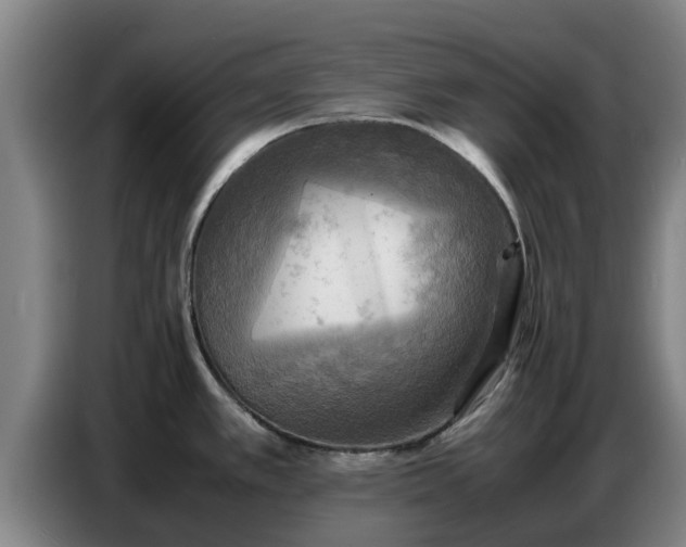 X0000086771389200704201756