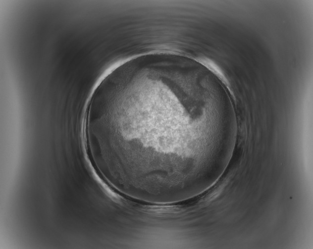 X0000086771391200704201756
