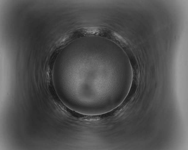 X0000086771394200704201755